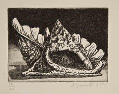 Dos conchas - Aguafuerte de Armando Buratti - 1965