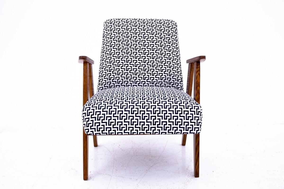 Polish Armchair 366 designed by Chierowski, Poland, 1960s. For Sale