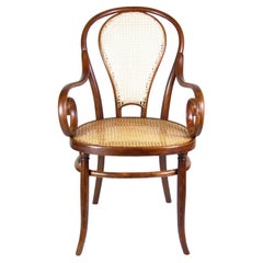 Fauteuil Fischel Nr.44 - THONET