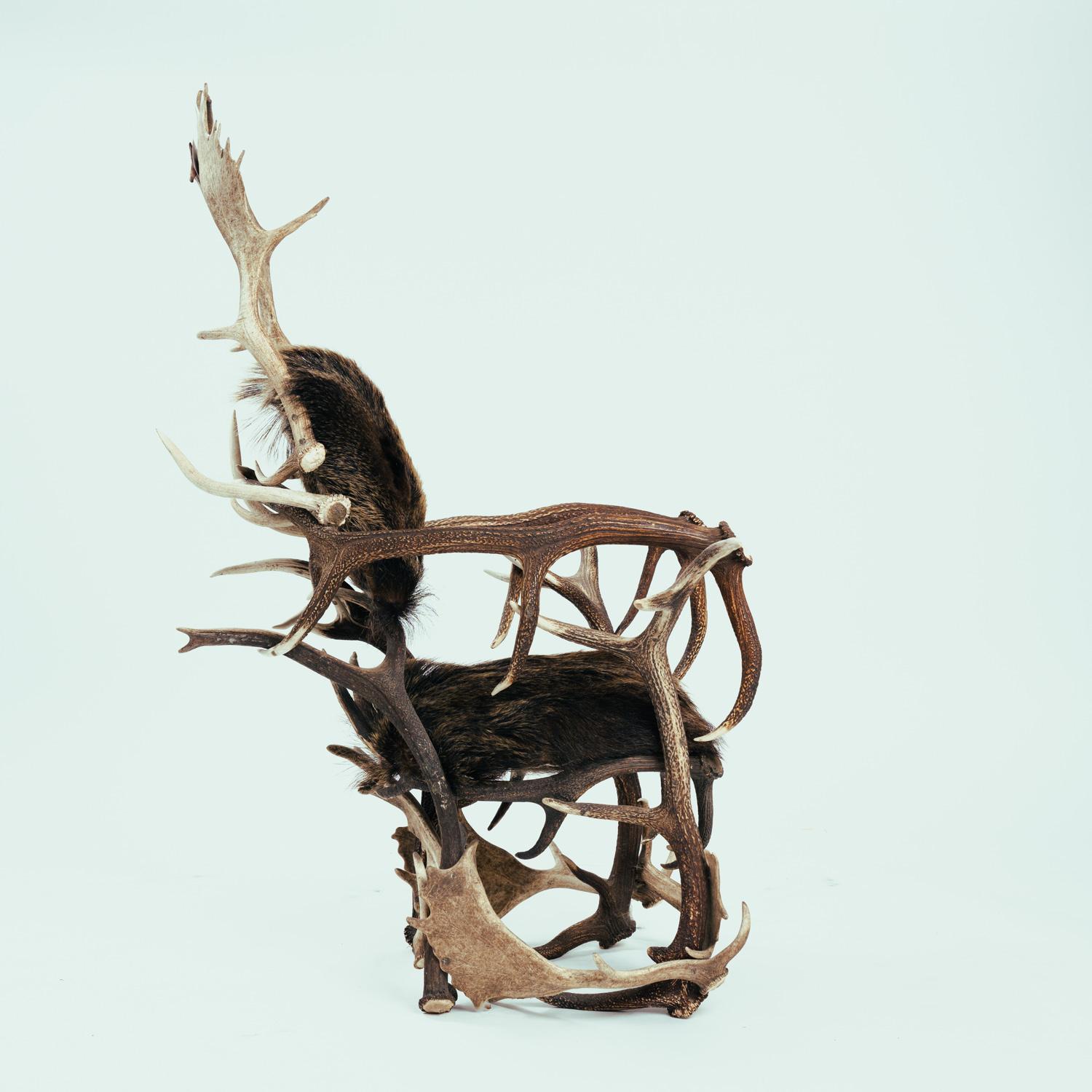 Black Forest Armchair, Hunting Trophy, Antler, Red Deer, Fallow, Wild Boar, Hide For Sale