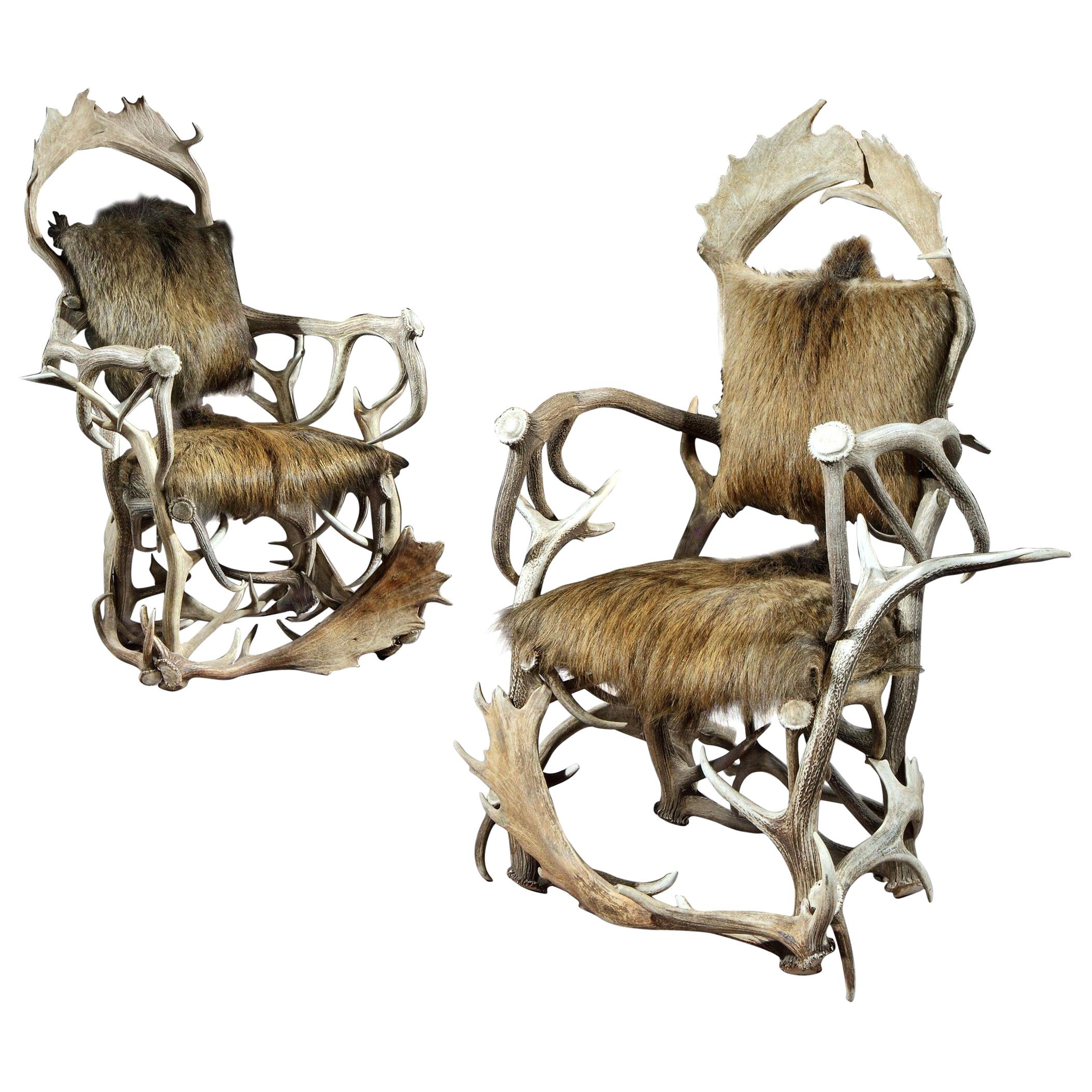 Armchair, Pair, Hunting Trophy, Antler, Red Deer, Fallow, Wild Boar, Hide