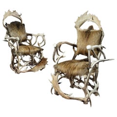 Armchair, Pair, Hunting Trophy, Antler, Red Deer, Fallow, Wild Boar, Hide