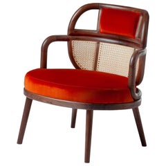 Mid-Century Modern Armchair Havana in Solid Walnut and Soft Red Cotton Velvet