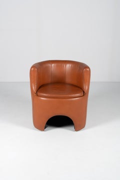 Fauteuils de Luigi Caccia Dominioni circa 1975