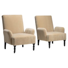 Armchairs in Mohair Velvet, France circa 1920