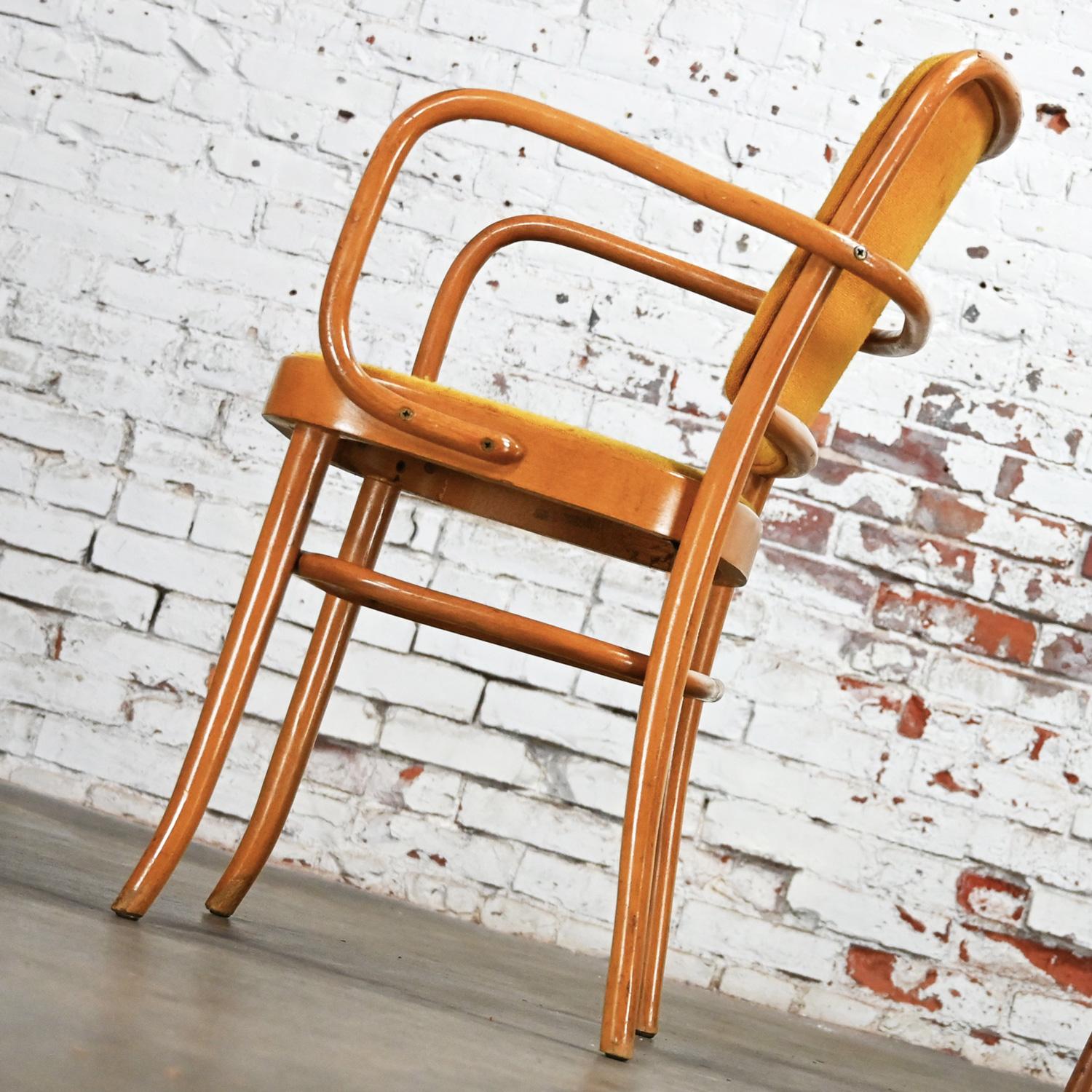 Armed Bauhaus Beech Bentwood J Hoffman Prague 811 Dining Chairs Style Thonet For Sale 1