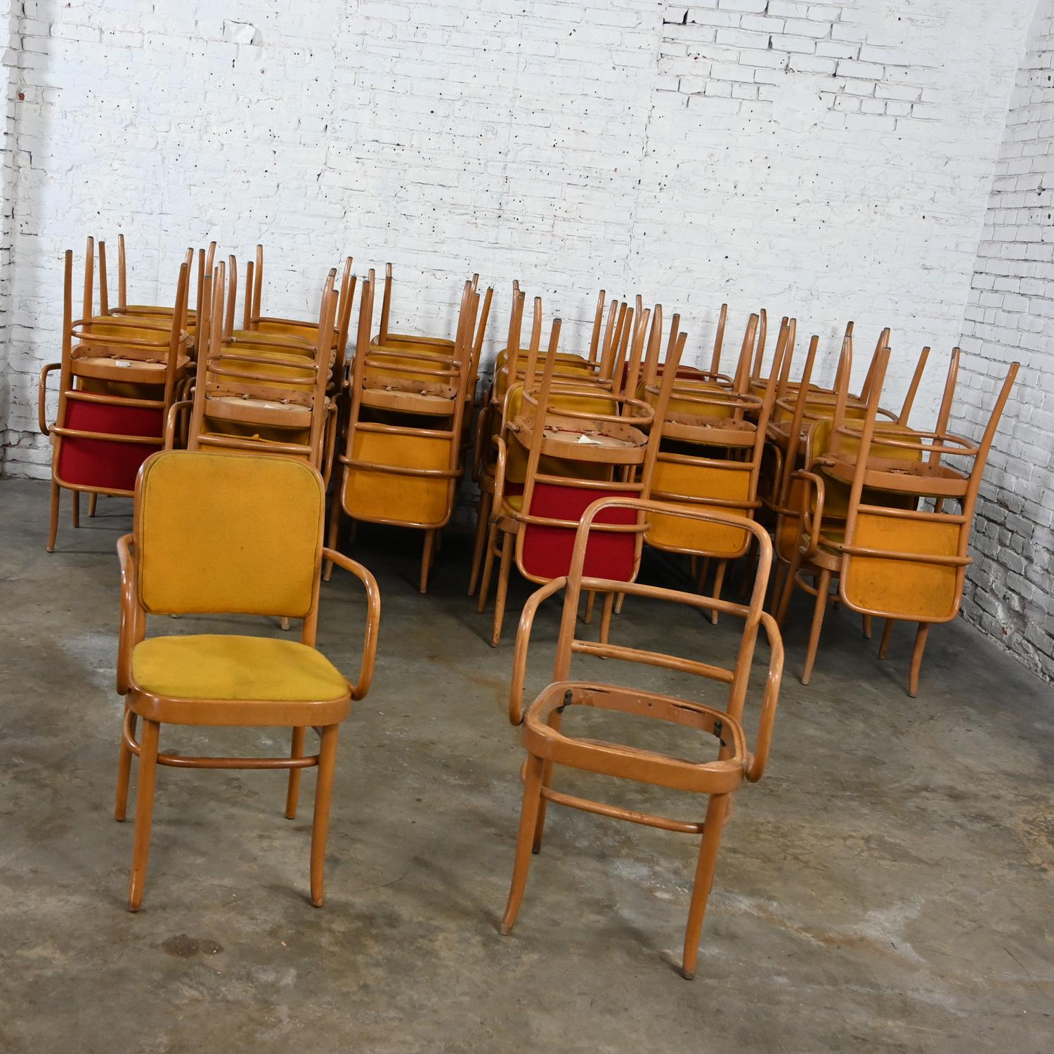 Chaises de salle à manger Bauhaus en hêtre courbé J Hoffman Prague 811 style Thonet en vente 3