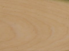 "Drain" A conceptual oil and encaustic painting with greens and wood grains