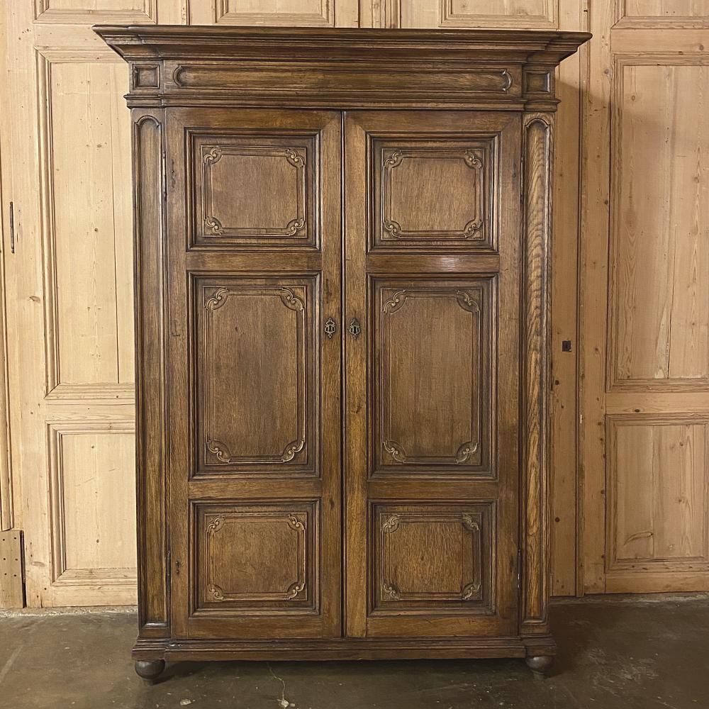 Armoire, 19th Century Country French Louis XIV Style In Good Condition In Dallas, TX