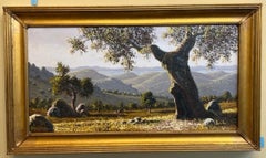 Paisaje con montañas y árboles