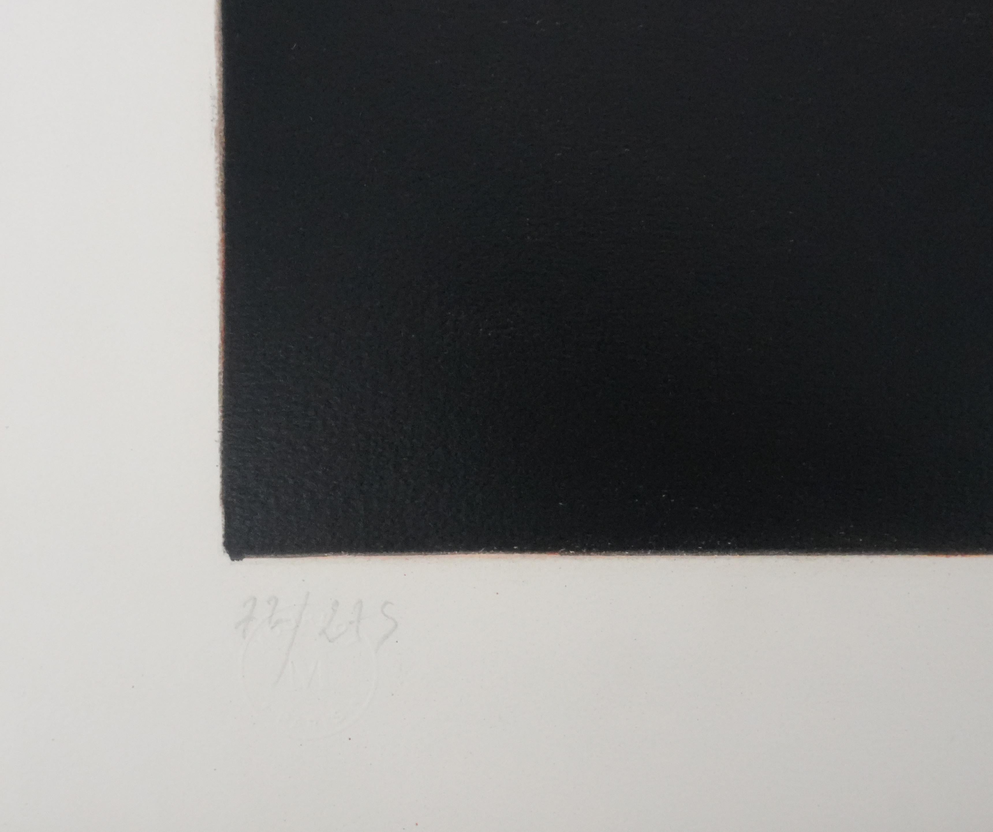 Nap Time in a White Dress - Original Handsigned Lithograph For Sale 2