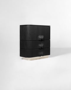 Arnava Door Cabinet in Natural Oak Veneer by Pendhapa
