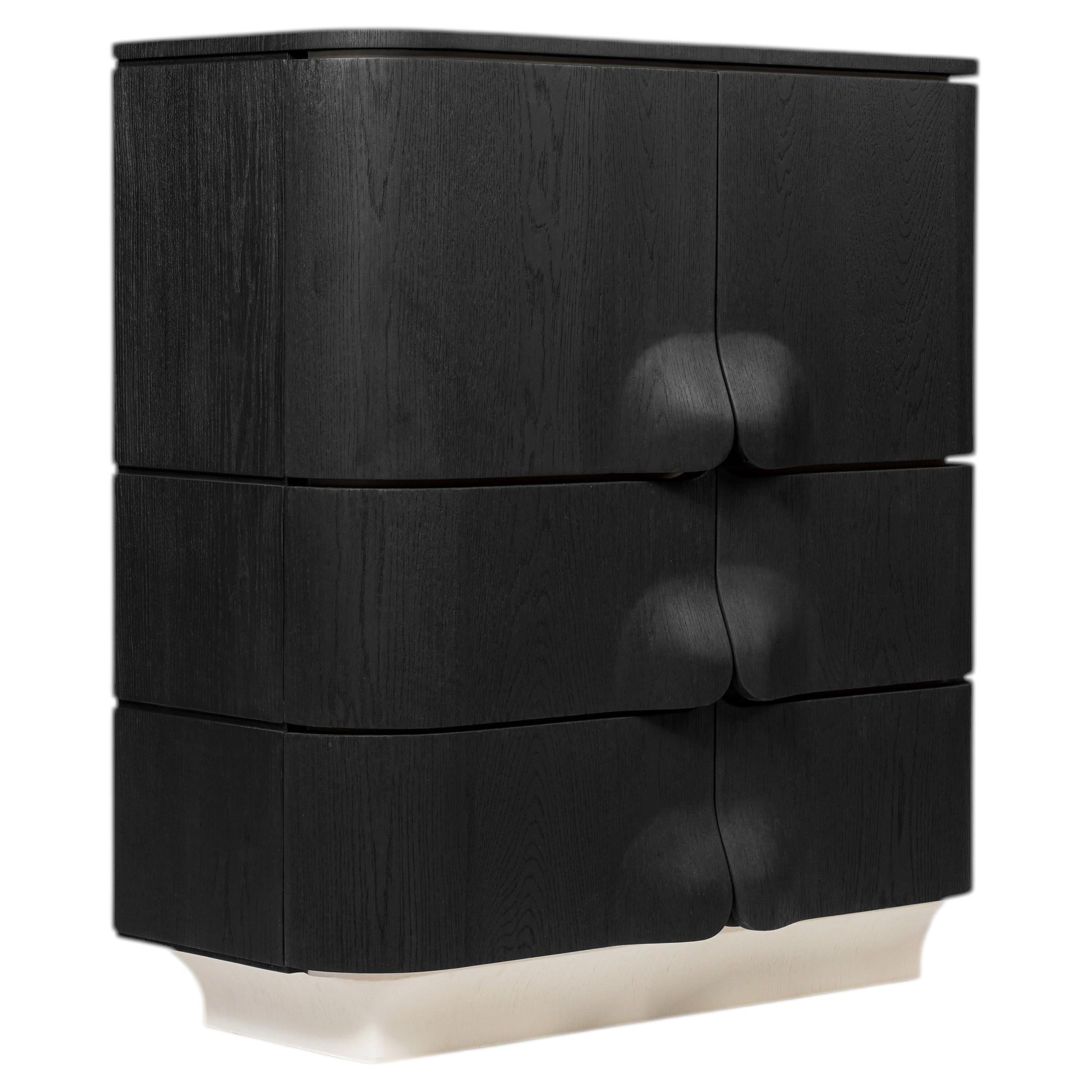 Arnava Door Cabinet in Natural Oak Veneer by Pendhapa For Sale