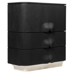 Arnava Door Cabinet in Natural Oak Veneer by Pendhapa