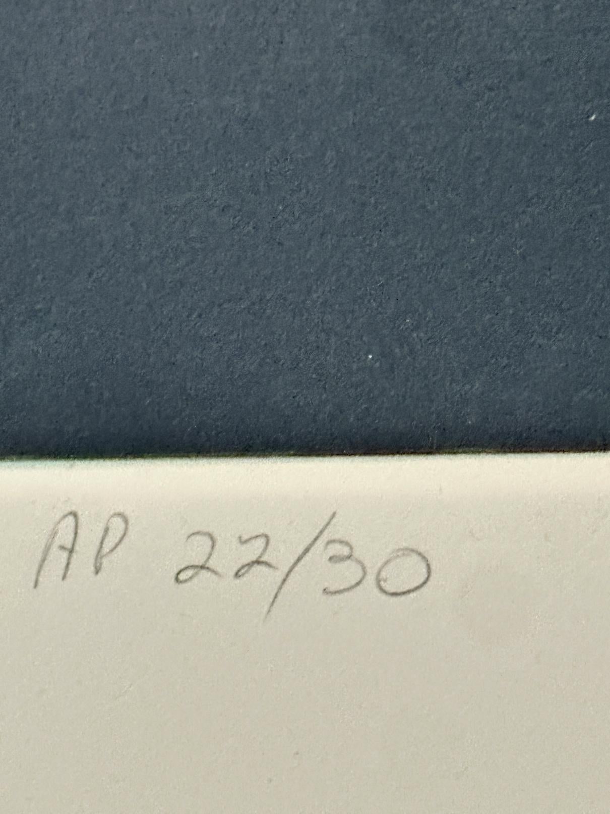 Circus Triad 1981 Signed Screen Print by Arne Besser For Sale 5