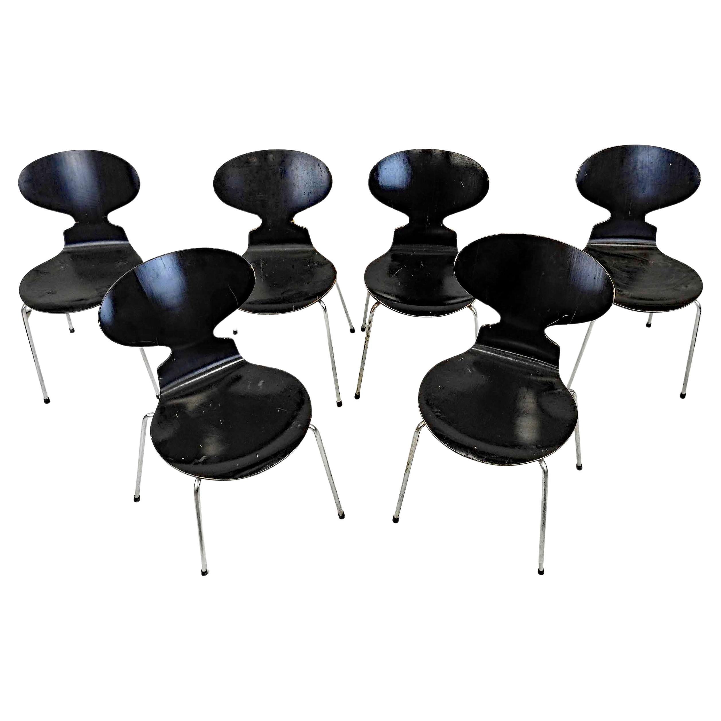 Arne Jacobsen (1902-1971) six chaises modèle 3101, assises et dossiers en contreplaqué moulé laqué noir, piétement quadripode en métal tubulaire chromé. Edition Fritz Hansen. Danish control. 
Measures: h.81 - l.45 - p.40 cm.
 