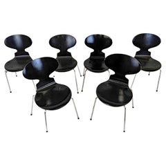 Arne Jacobsen '1902-1971' Six Chaises Modèle 3101, Edition Fritz Hansen