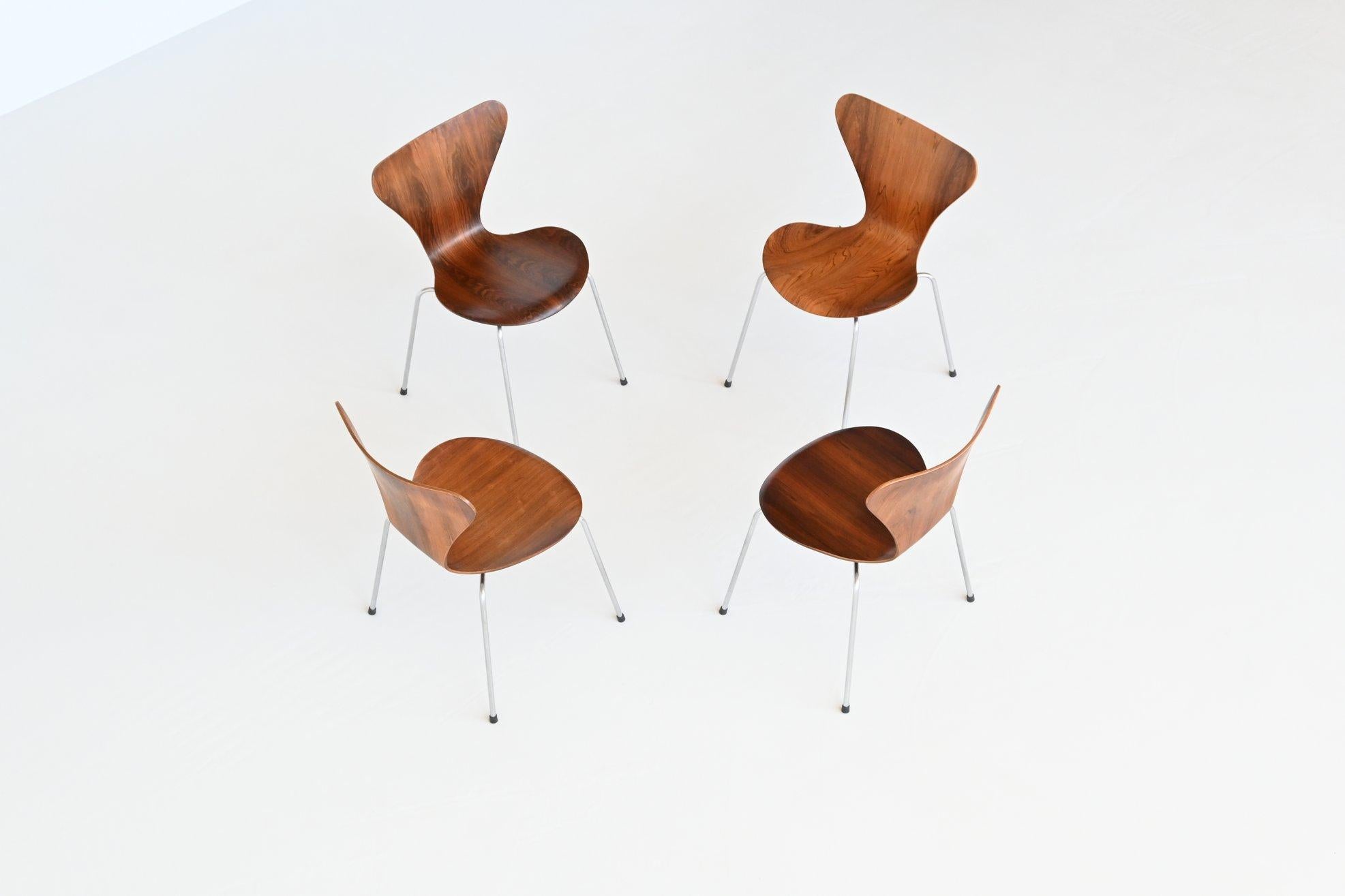 Arne Jacobsen Butterfly Dining Chairs Rosewood Fritz Hansen, Denmark, 1965 4