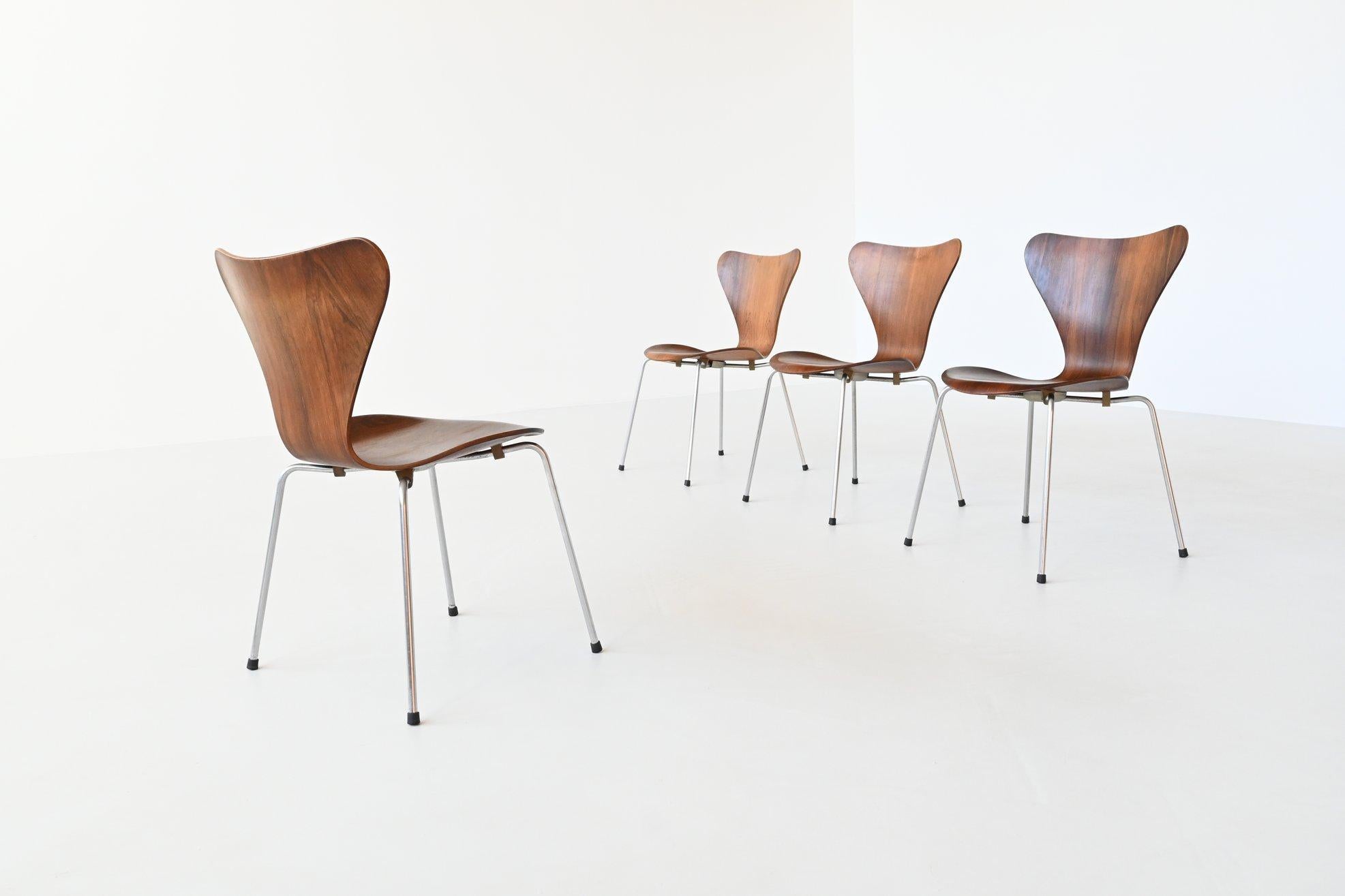 Iconic and beautiful shaped model 3107 “Butterfly” dining chairs designed by Arne Jacobsen and manufactured by Fritz Hansen, Denmark 1965. These well-crafted chairs are made of moulded plywood and finished with nicely grained rosewood veneer. They