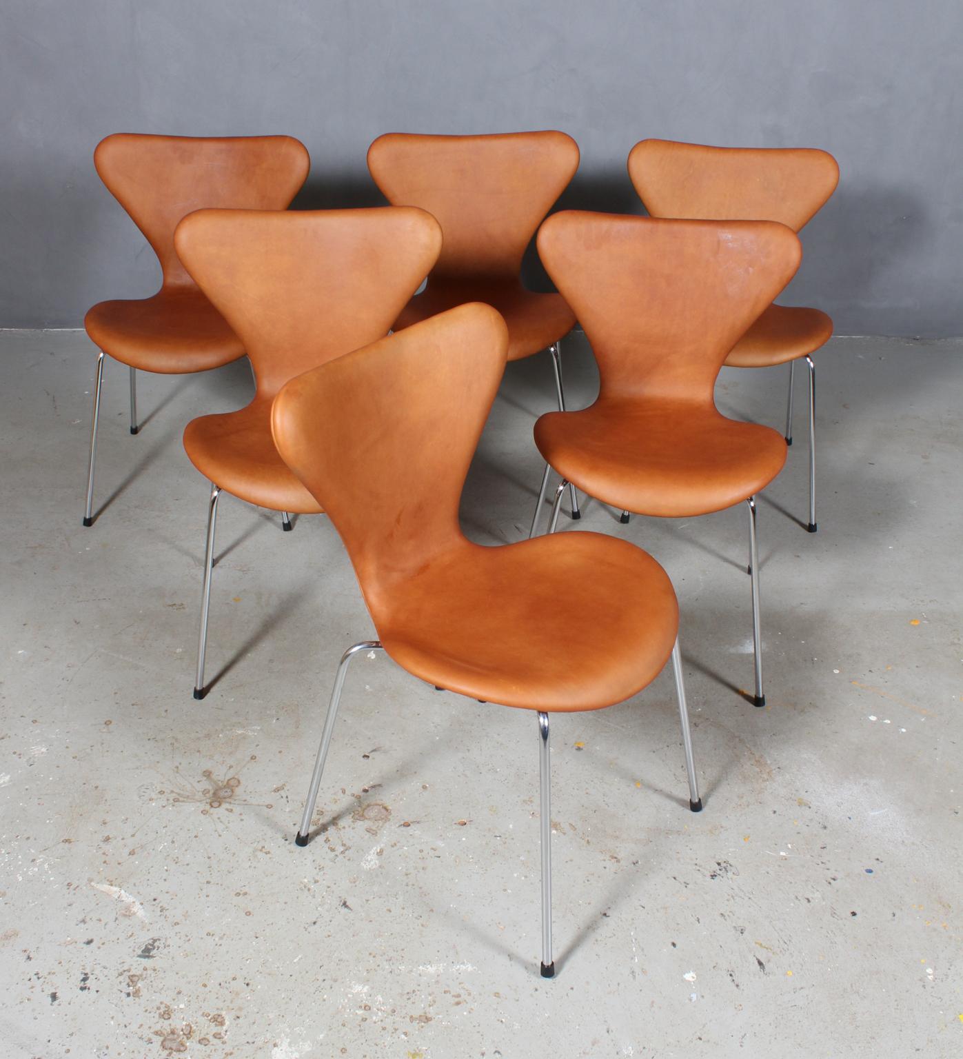 Chaise de salle à manger Arne Jacobsen nouvellement tapissée de cuir aniline vintage cognac.

Base en tube d'acier chromé.

Modèle 3107 Syveren, fabriqué par Fritz Hansen.