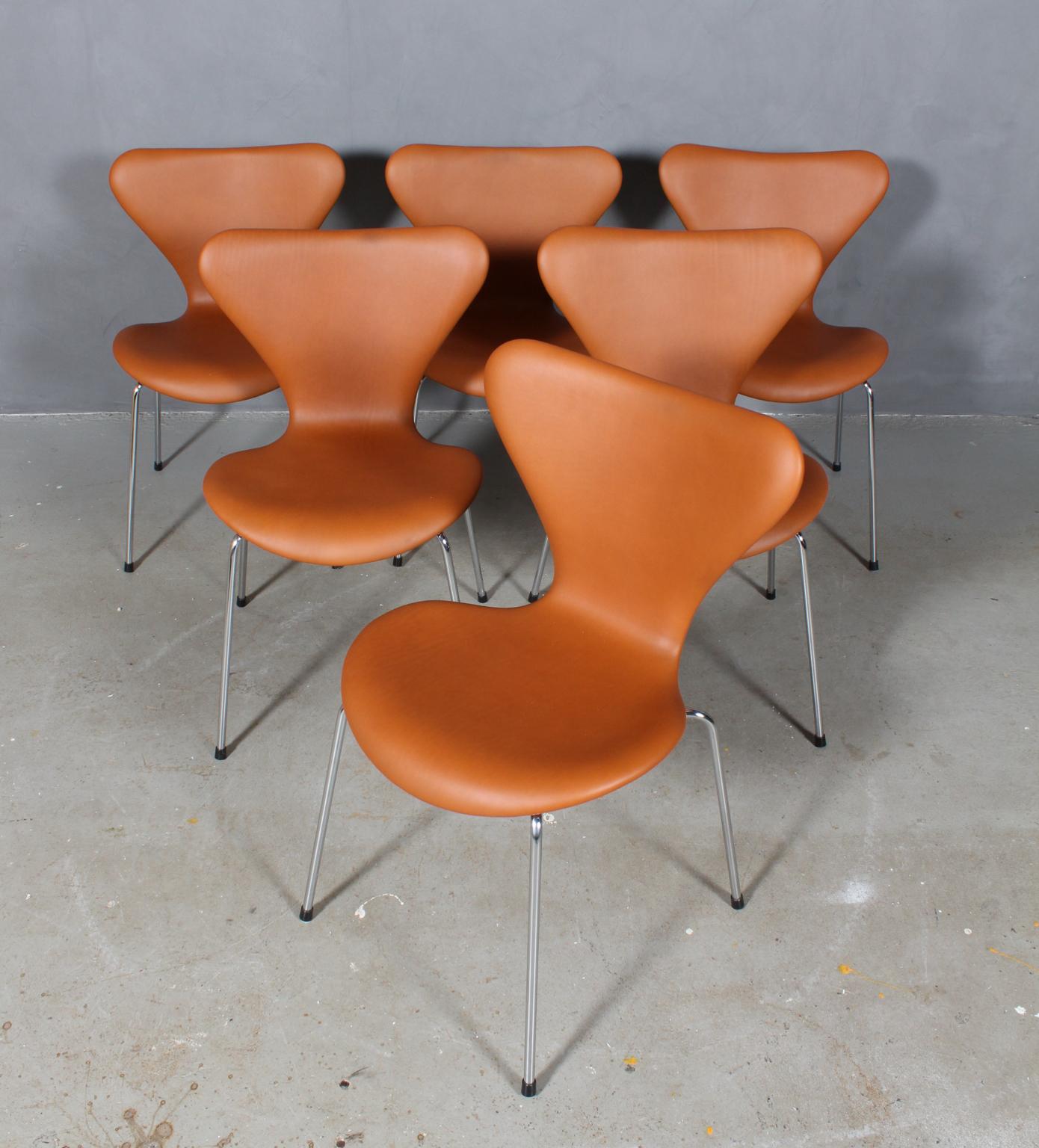 Arne Jacobsen dining chair new upholstered with walnut elegance aniline leather.

Base of chrome steel tube.

Model 3107 Syveren, made by Fritz Hansen.