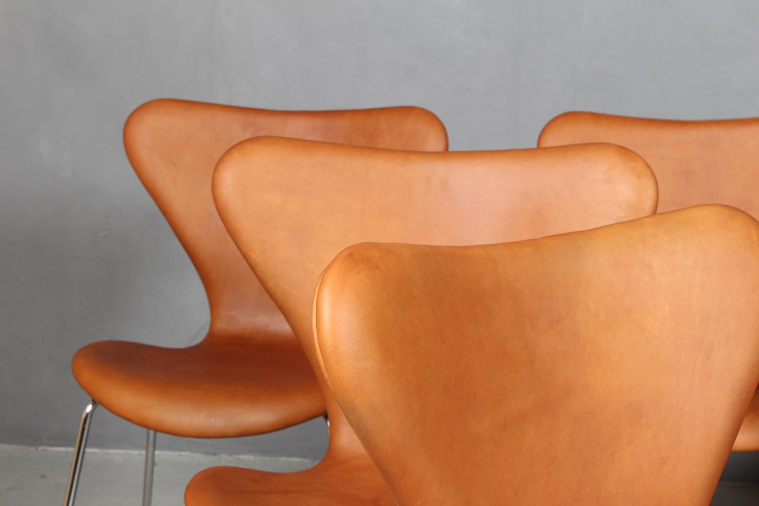 Esszimmerstuhl von Arne Jacobsen (Skandinavische Moderne) im Angebot