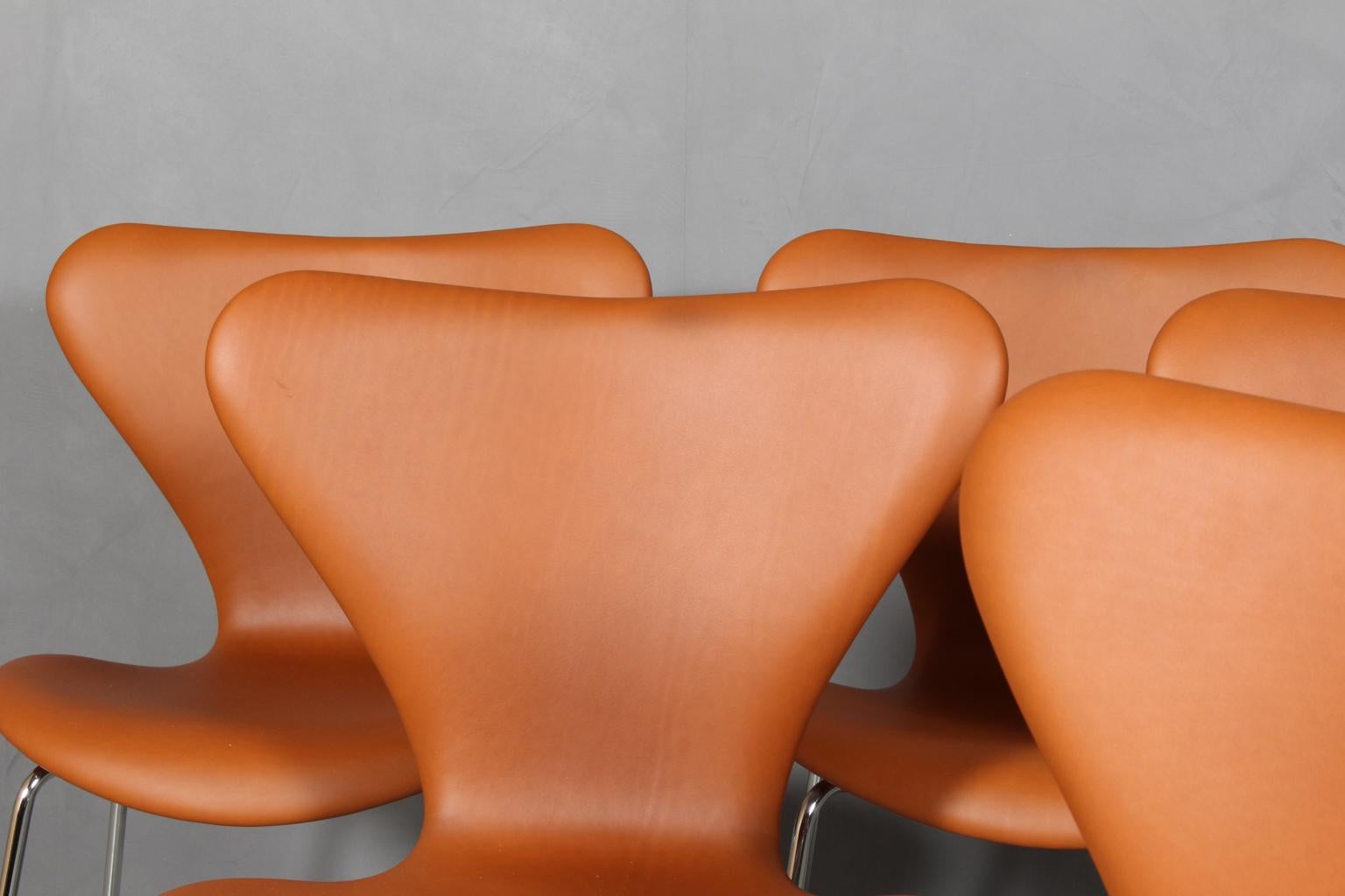 Scandinavian Modern Arne Jacobsen Dining Chair For Sale