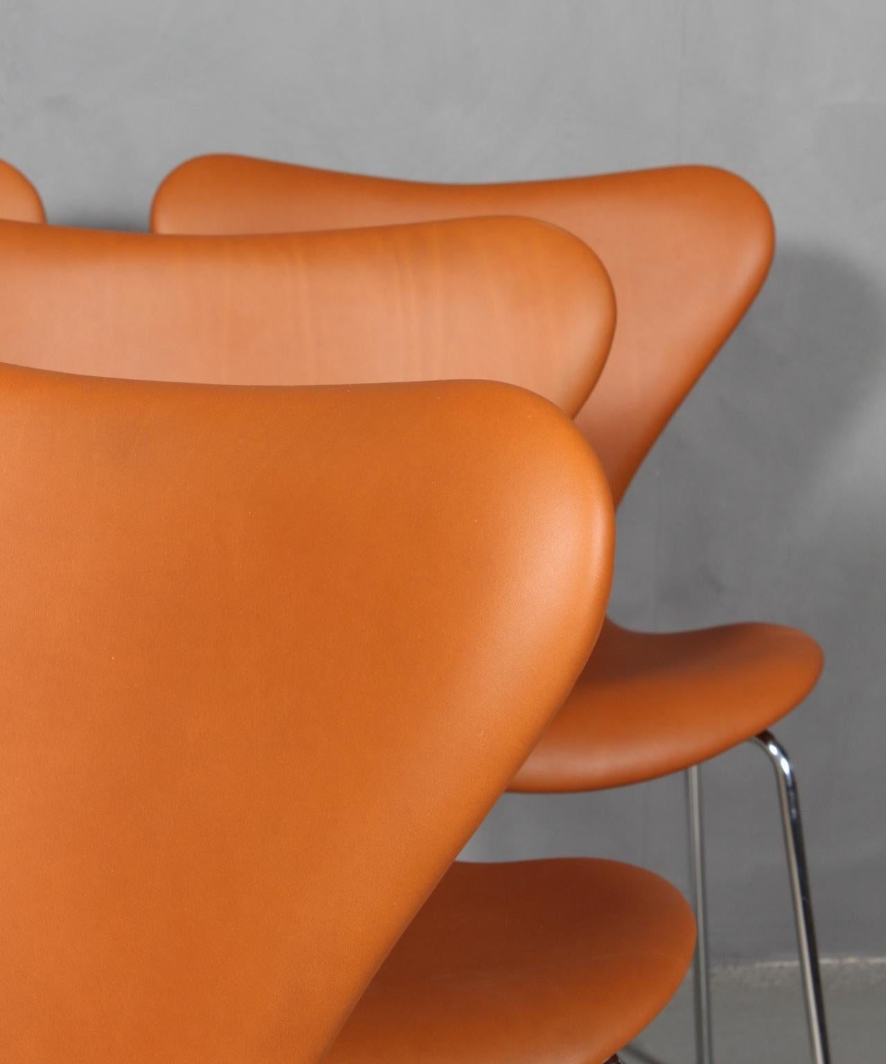 Danish Arne Jacobsen Dining Chair For Sale