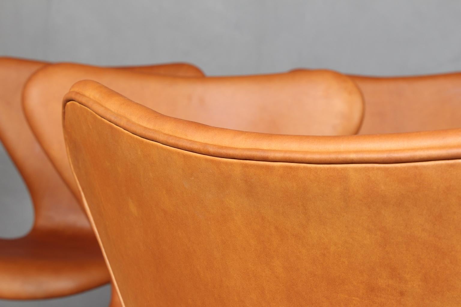 Chaise de salle à manger Arne Jacobsen en vente 1