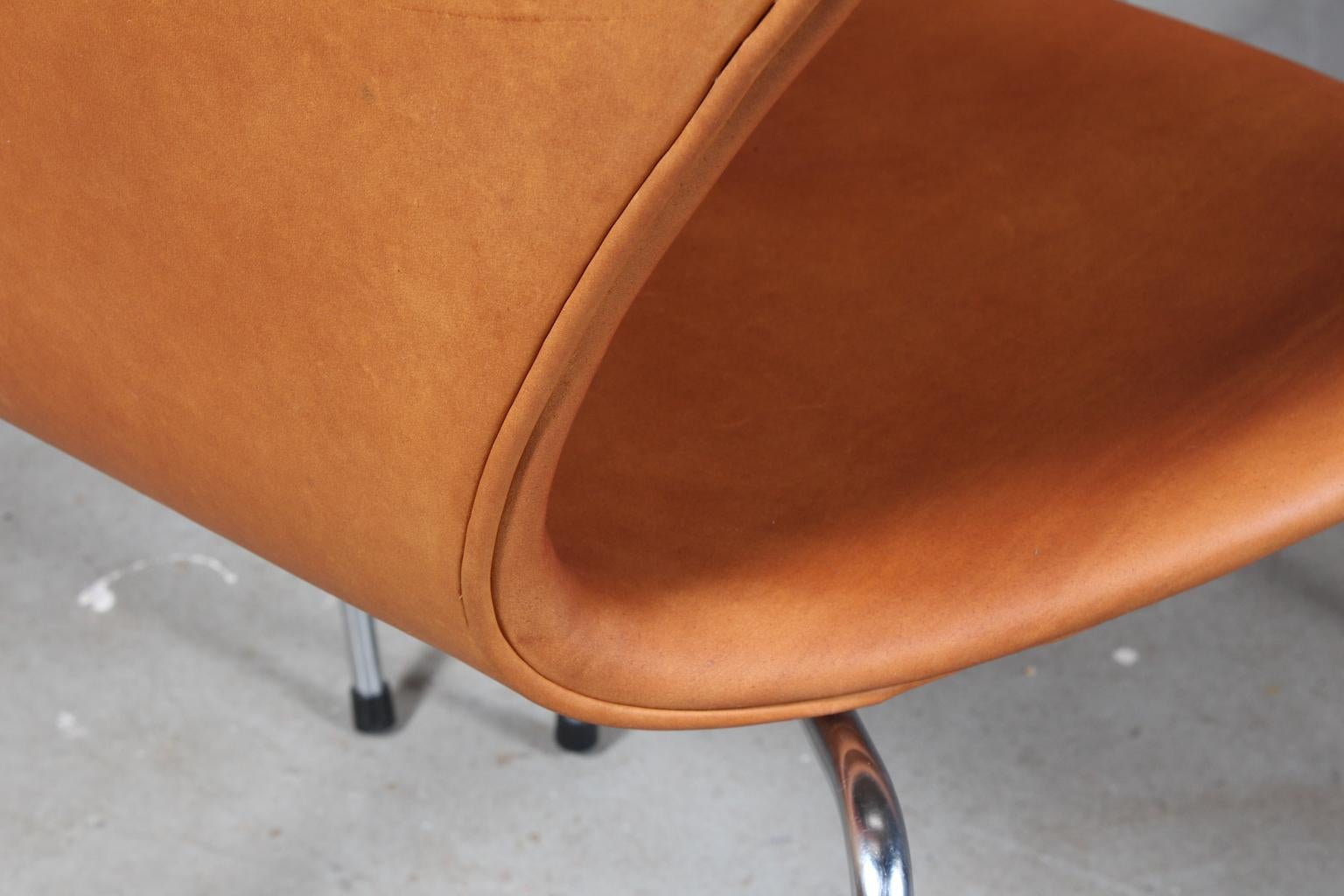 Chaise de salle à manger Arne Jacobsen en vente 2