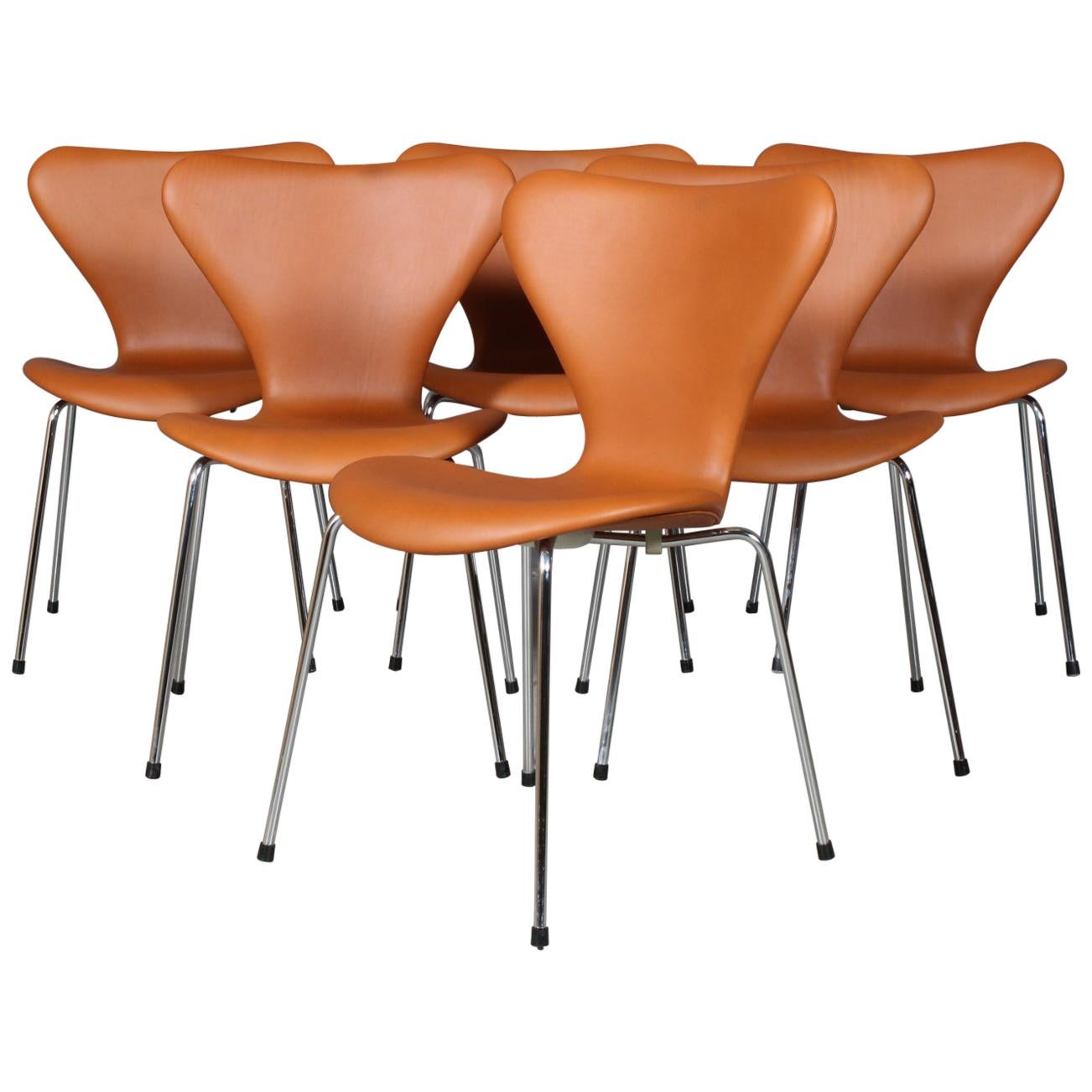Arne Jacobsen Dining Chair