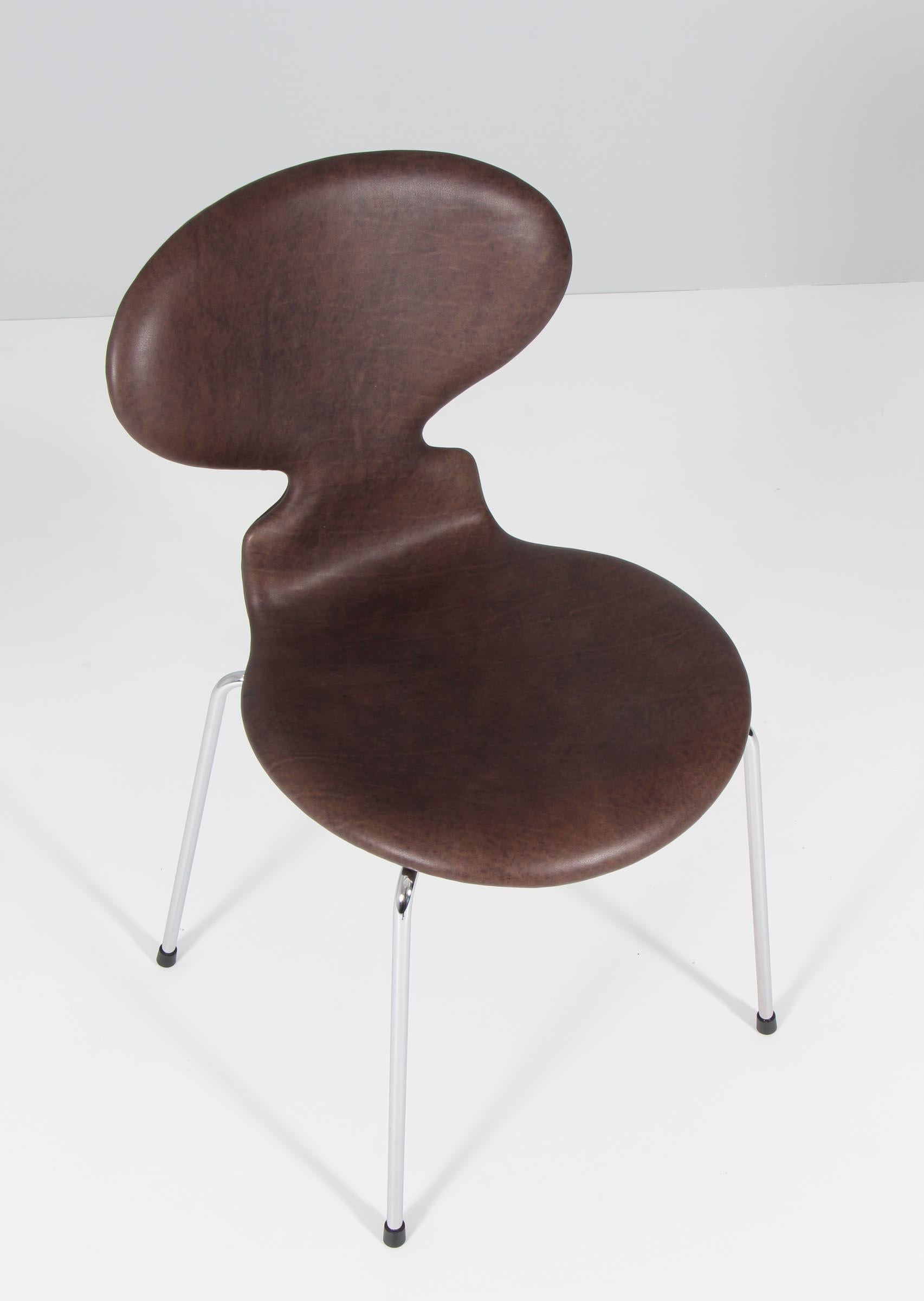 Arne Jacobsen dining chairs, new upholstered with mokka aniline leather. 

Chromed base. 

Model 3101 