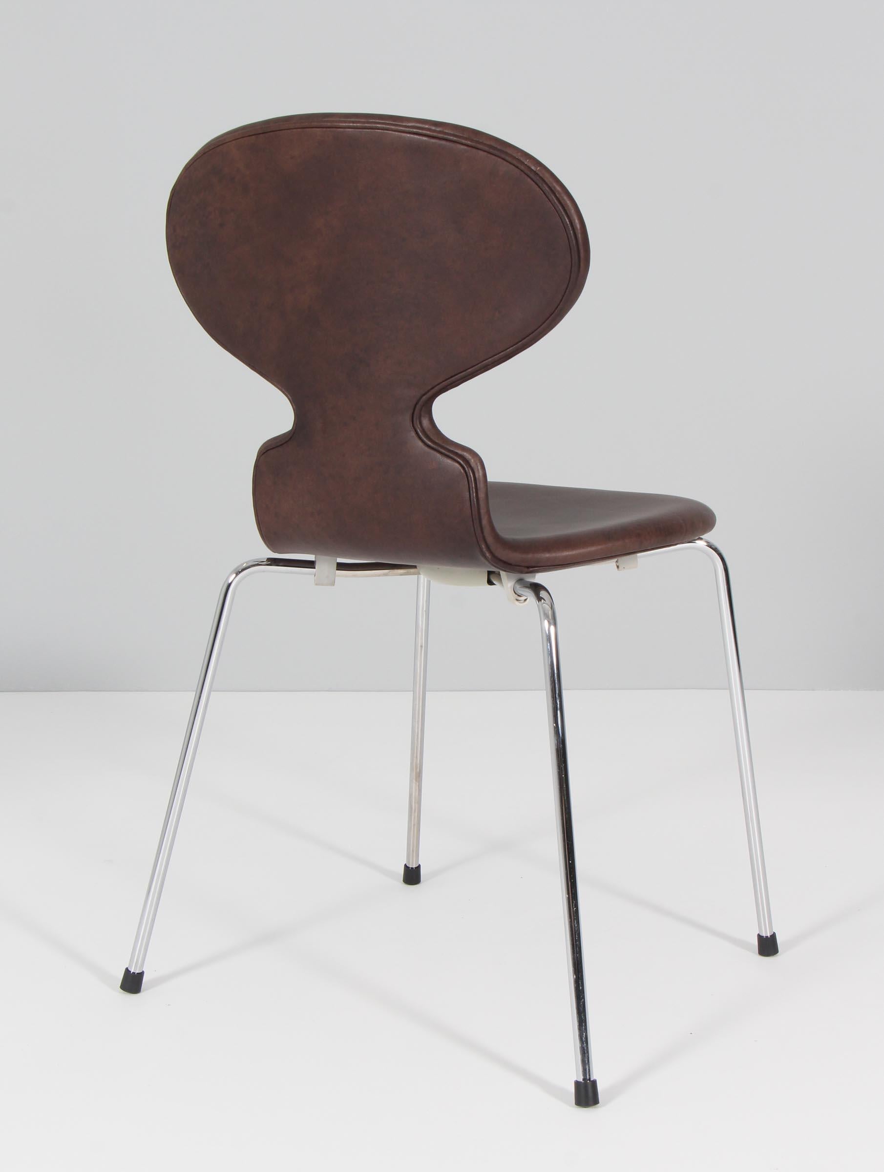 Mid-20th Century Arne Jacobsen, Dining Chair Model 3101 