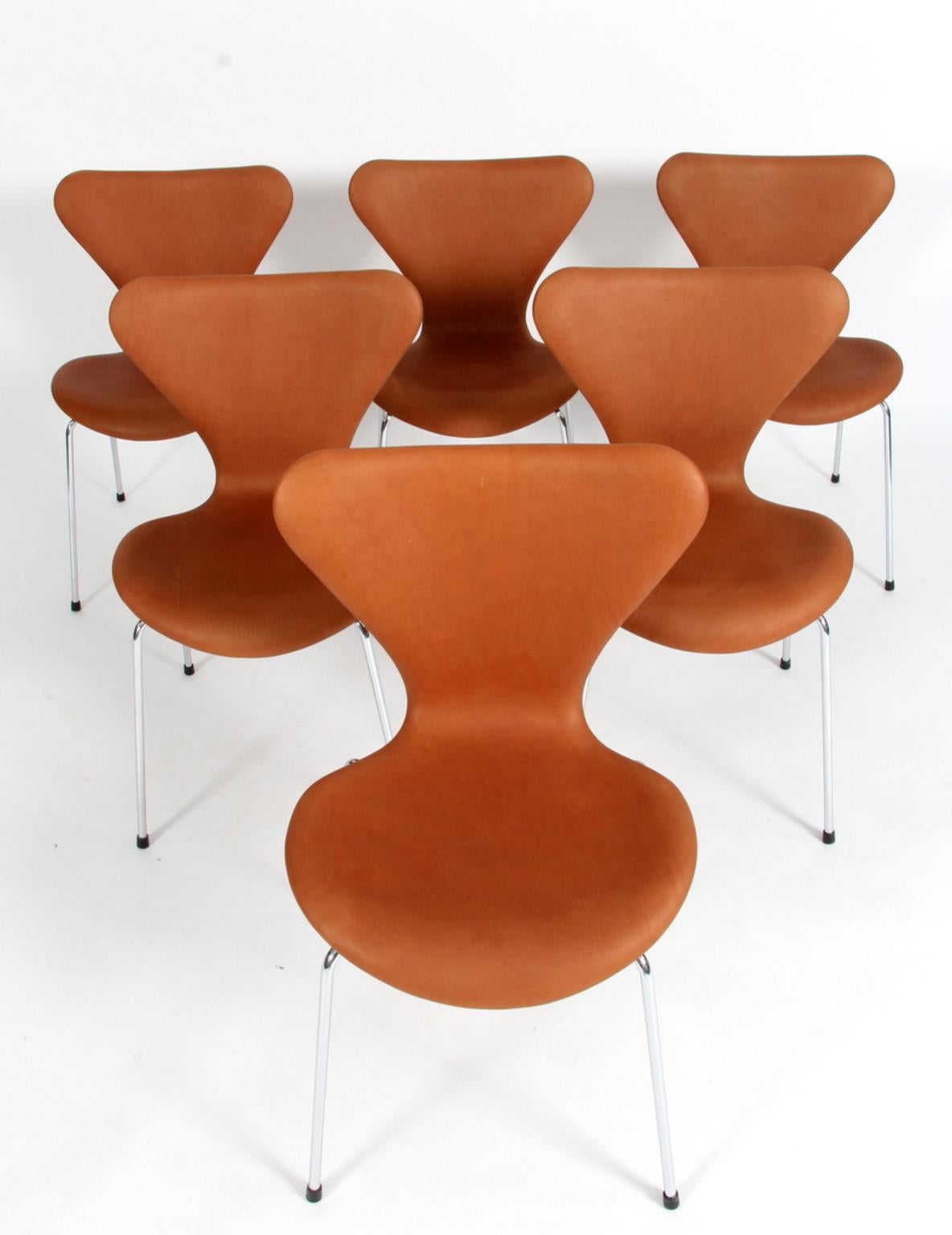 Arne Jacobsen dining chair new upholstered with cognac aniline leather.

Base of chrome steel tube.

Model 3107 Syveren, made by Fritz Hansen.