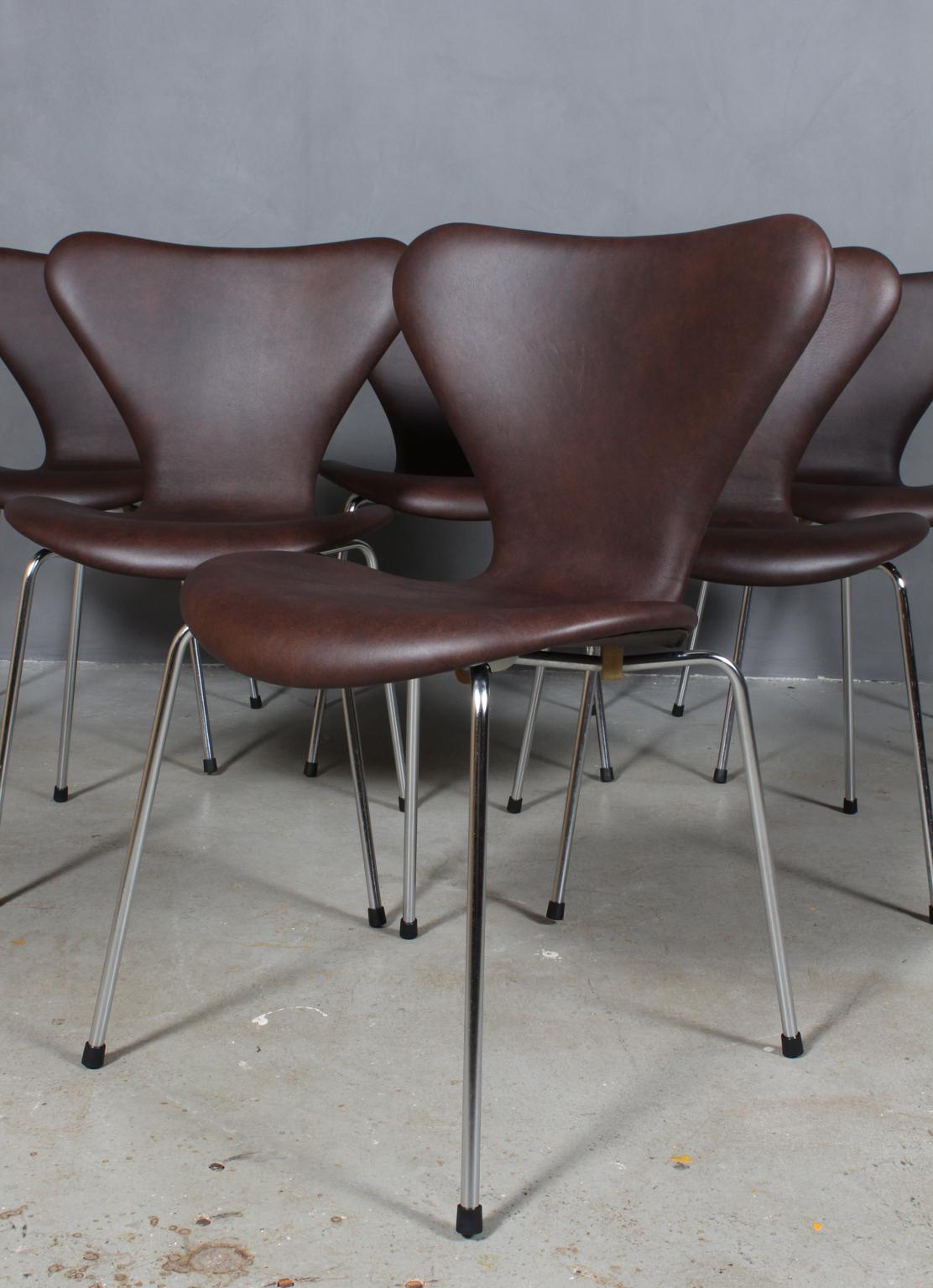 Arne Jacobsen dining chair new upholstered with Mokka aniline leather.

Base of chrome steel tube.

Model 3107 Syveren, made by Fritz Hansen.