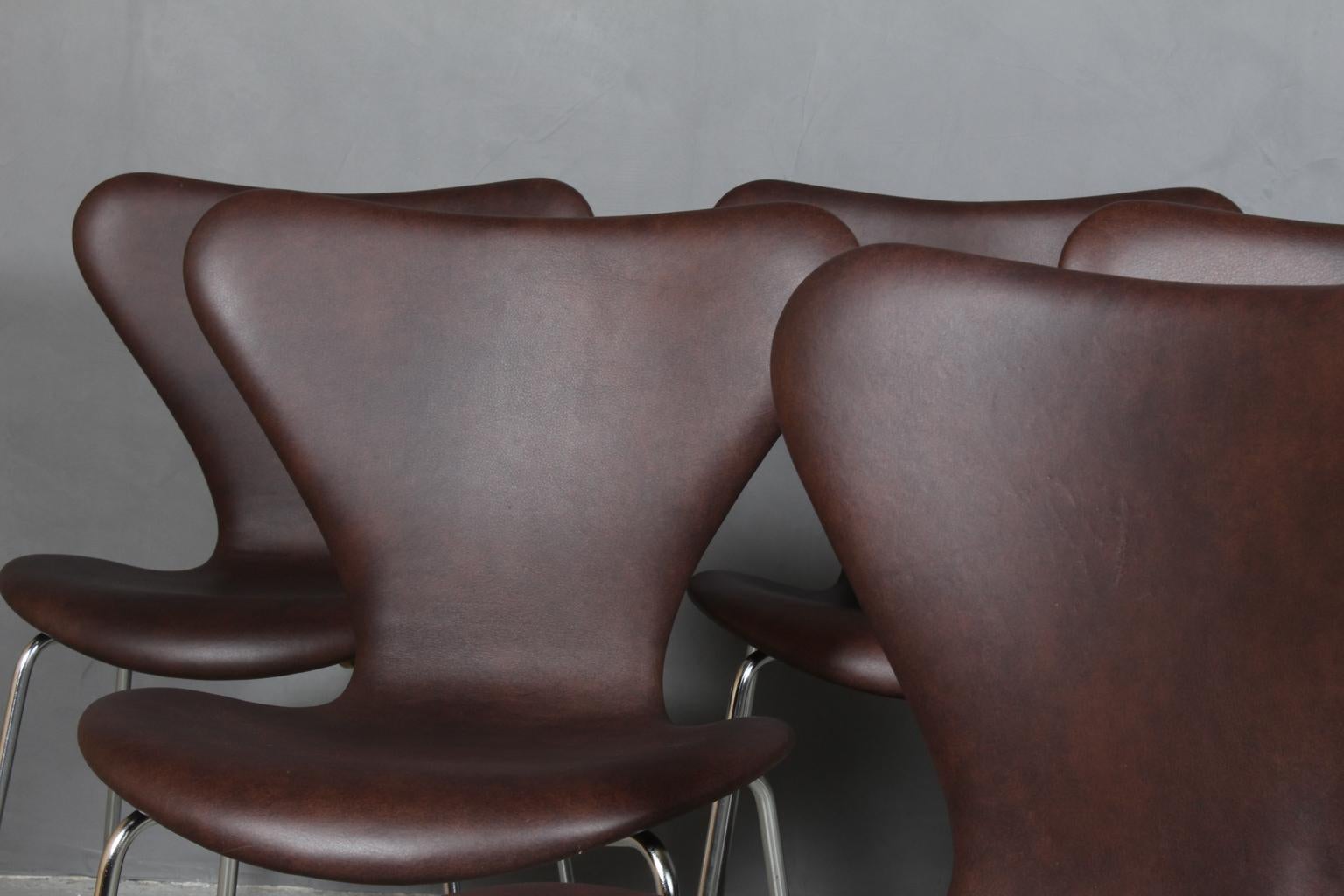 Scandinavian Modern Arne Jacobsen Dining Chair, Model ''Syveren'' 3107, Mokka Aniline Leather For Sale