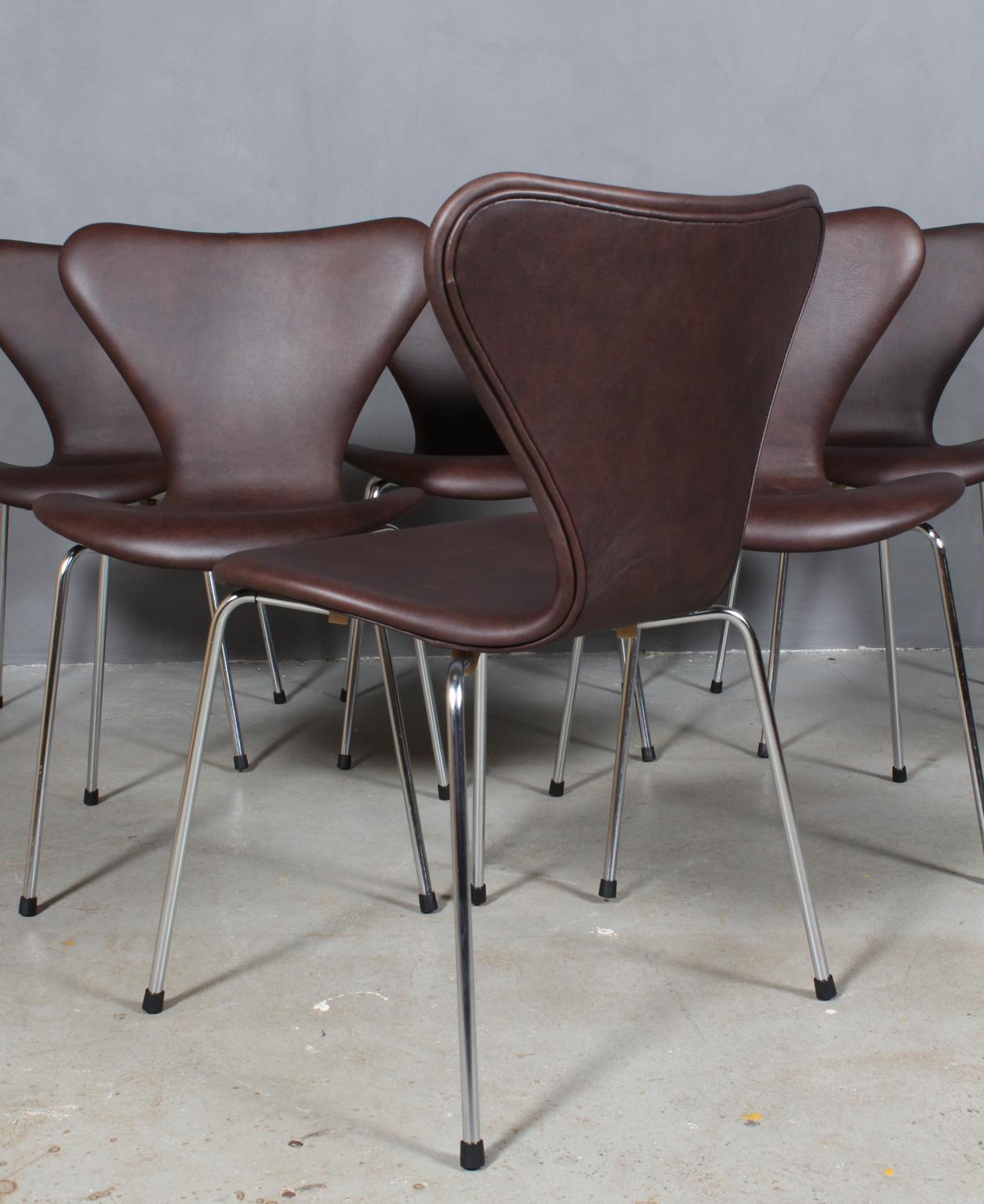 Arne Jacobsen Dining Chair, Model ''Syveren'' 3107, Mokka Aniline Leather In Excellent Condition In Esbjerg, DK