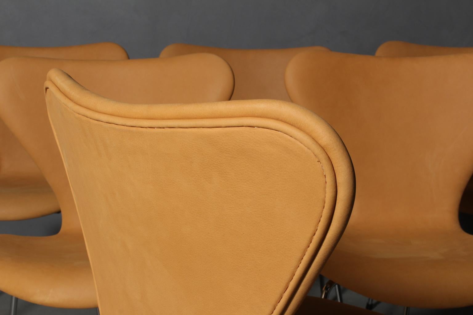 Arne Jacobsen Dining Chair 1