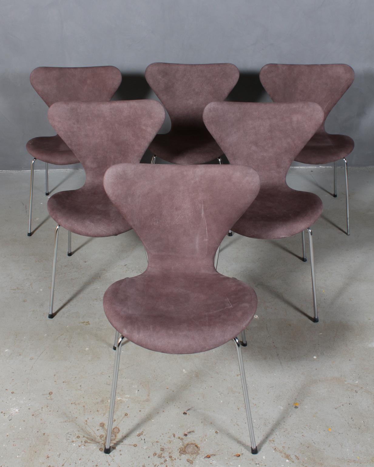 Sedia da pranzo Arne Jacobsen nuova rivestita in pelle nubuck semi-anilina.

Base in tubo di acciaio cromato.

Modello 3107 Syveren, prodotto da Fritz Hansen.