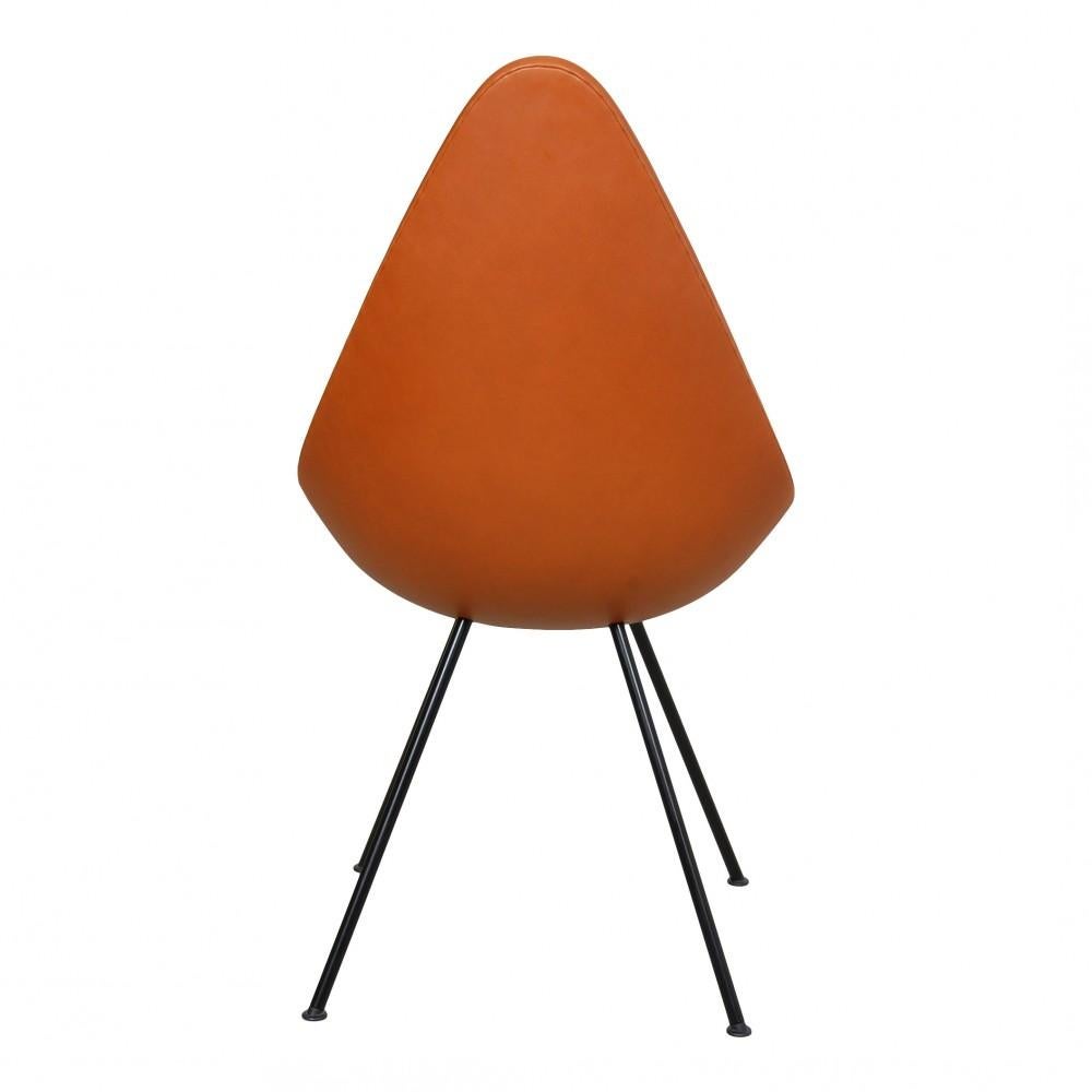 Danish Arne Jacobsen Drop Black Lacquered Chair in Walnut Aniline