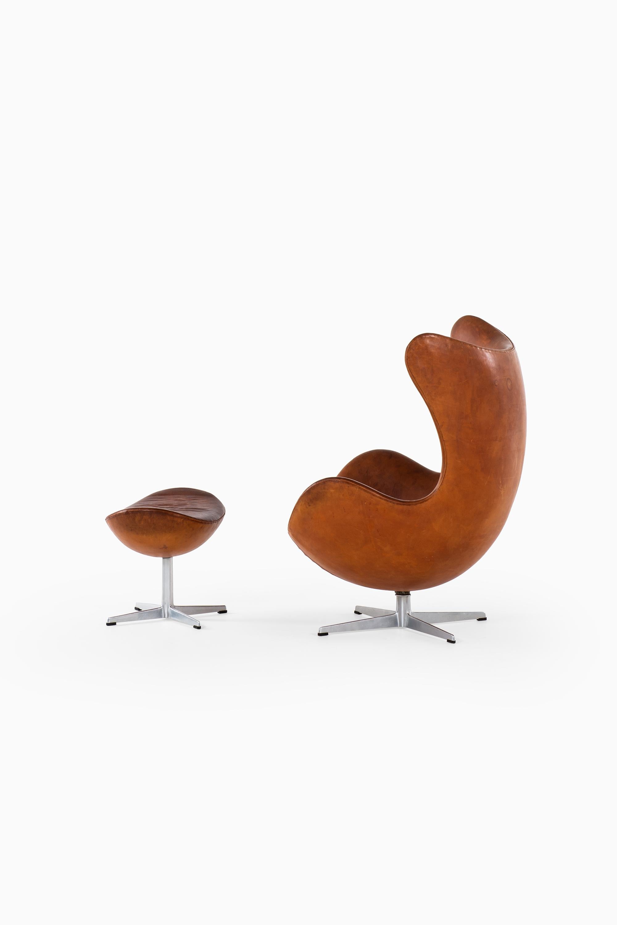 egg chair materials -china -b2b -forum -blog -wikipedia -.cn -.gov -alibaba