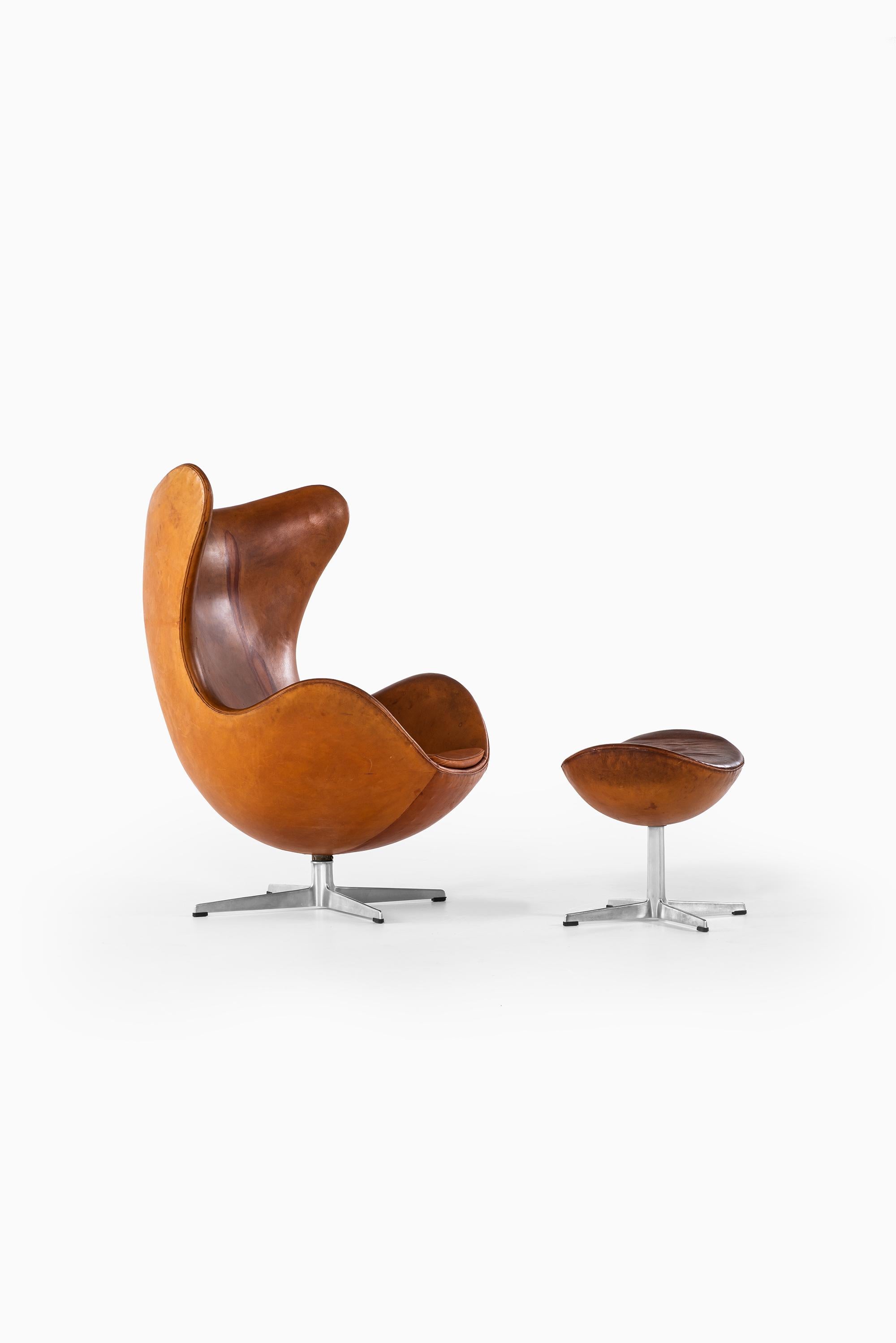 egg chair design -china -b2b -forum -blog -wikipedia -.cn -.gov -alibaba