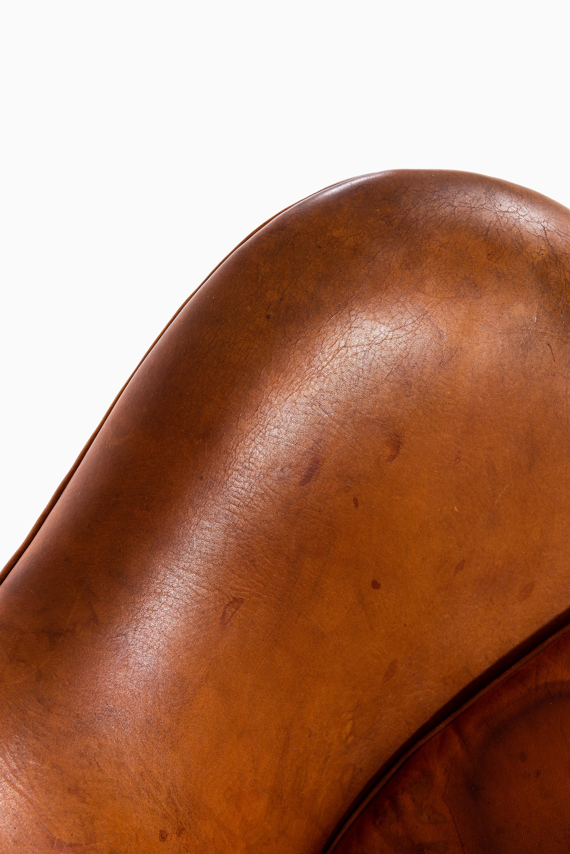 retro-inspired egg chair -china -b2b -forum -blog -wikipedia -.cn -.gov -alibaba