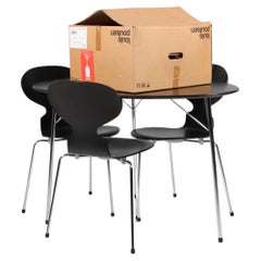 Table de salle à manger en forme d'œuf, quatre chaises et lampe, édition anniversaire d'Arne Jacobsen