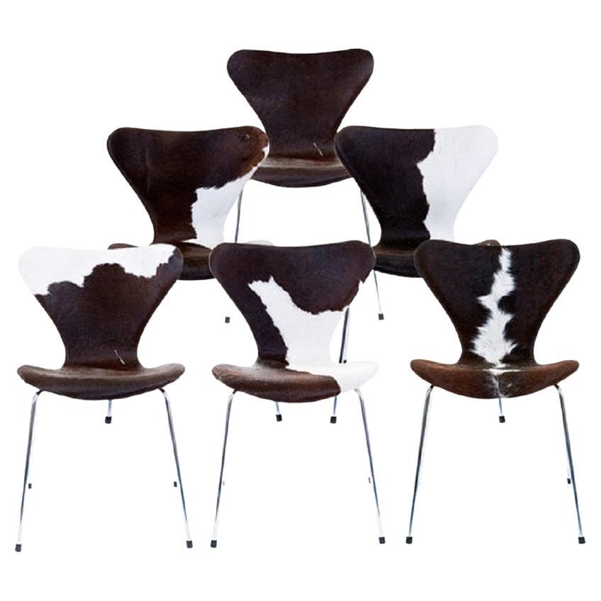 Arne Jacobsen for Fritz Hansen Model 3107 Cowhide Chairs, Set of 6