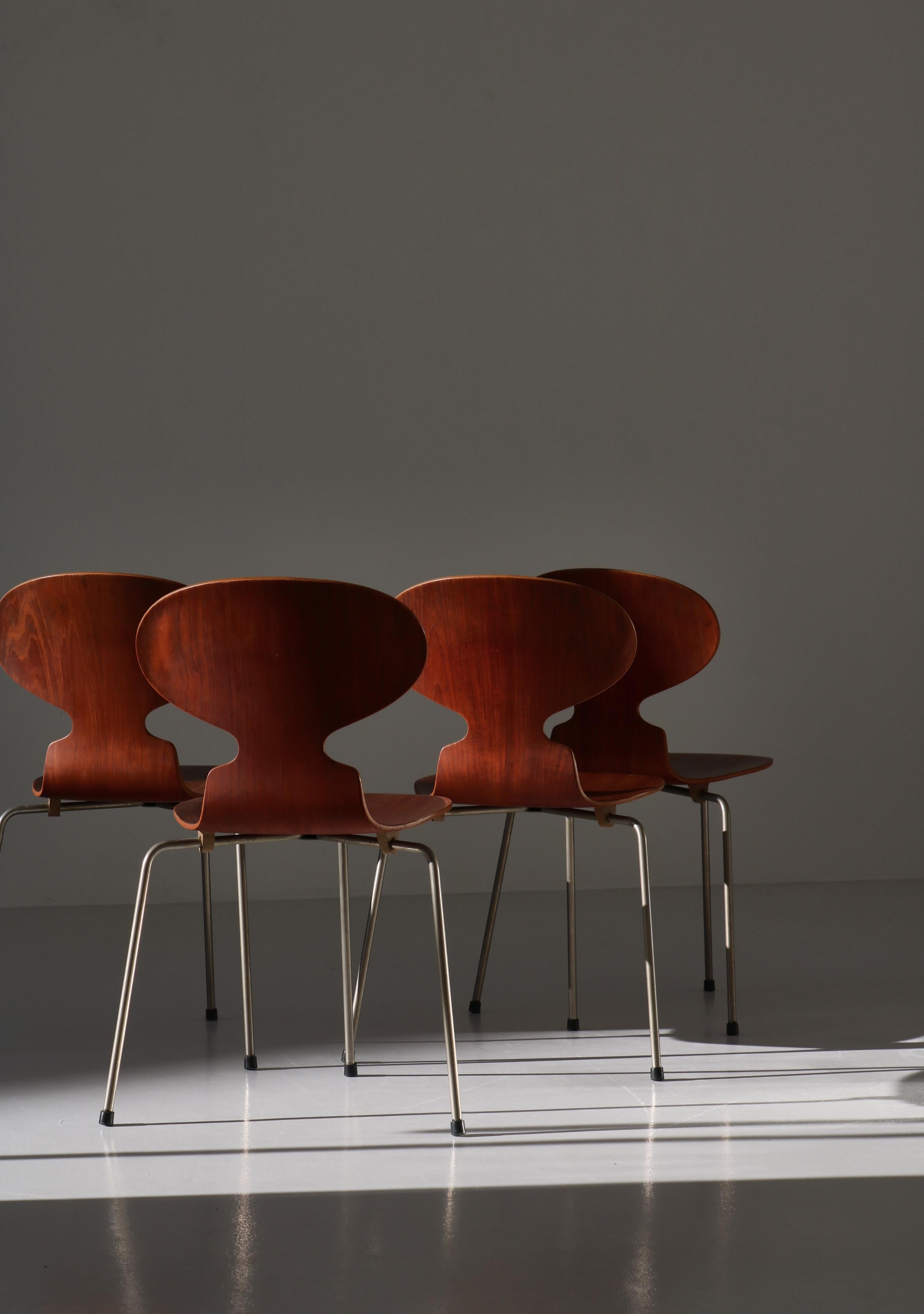 Milieu du XXe siècle Chaises Ant d'Arne Jacobsen modèle 3100 en teck et acier de Fritz Hansen, années 1950 en vente