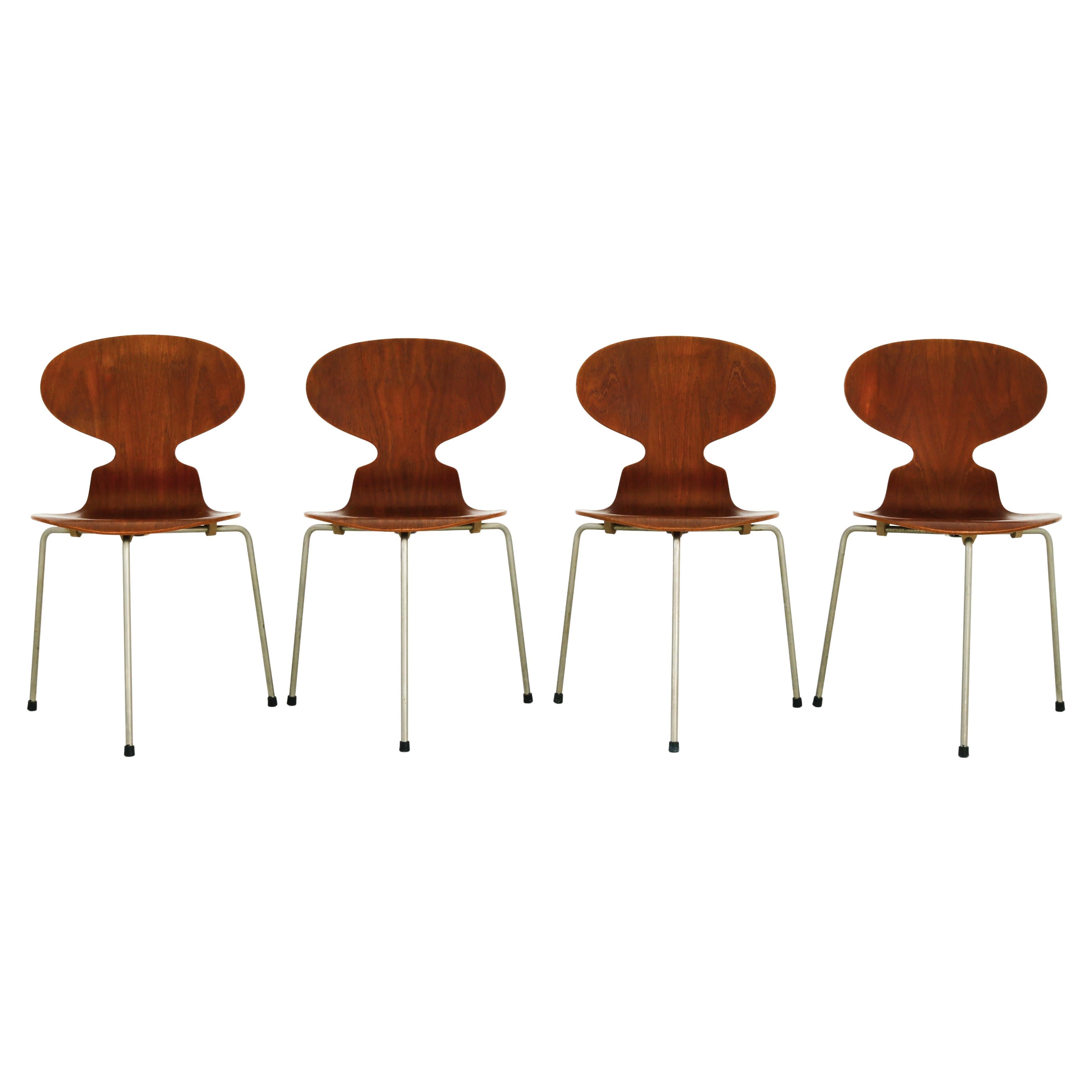 Arne Jacobsen Model 3100 "Ant" Chairs by Fritz Hansen Teak Wood & Steel, 1950s For Sale