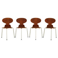 Antique Arne Jacobsen Model 3100 "Ant" Chairs by Fritz Hansen Teak Wood & Steel, 1950s