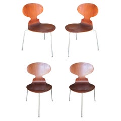 Mid-Century Modern Side Chairs