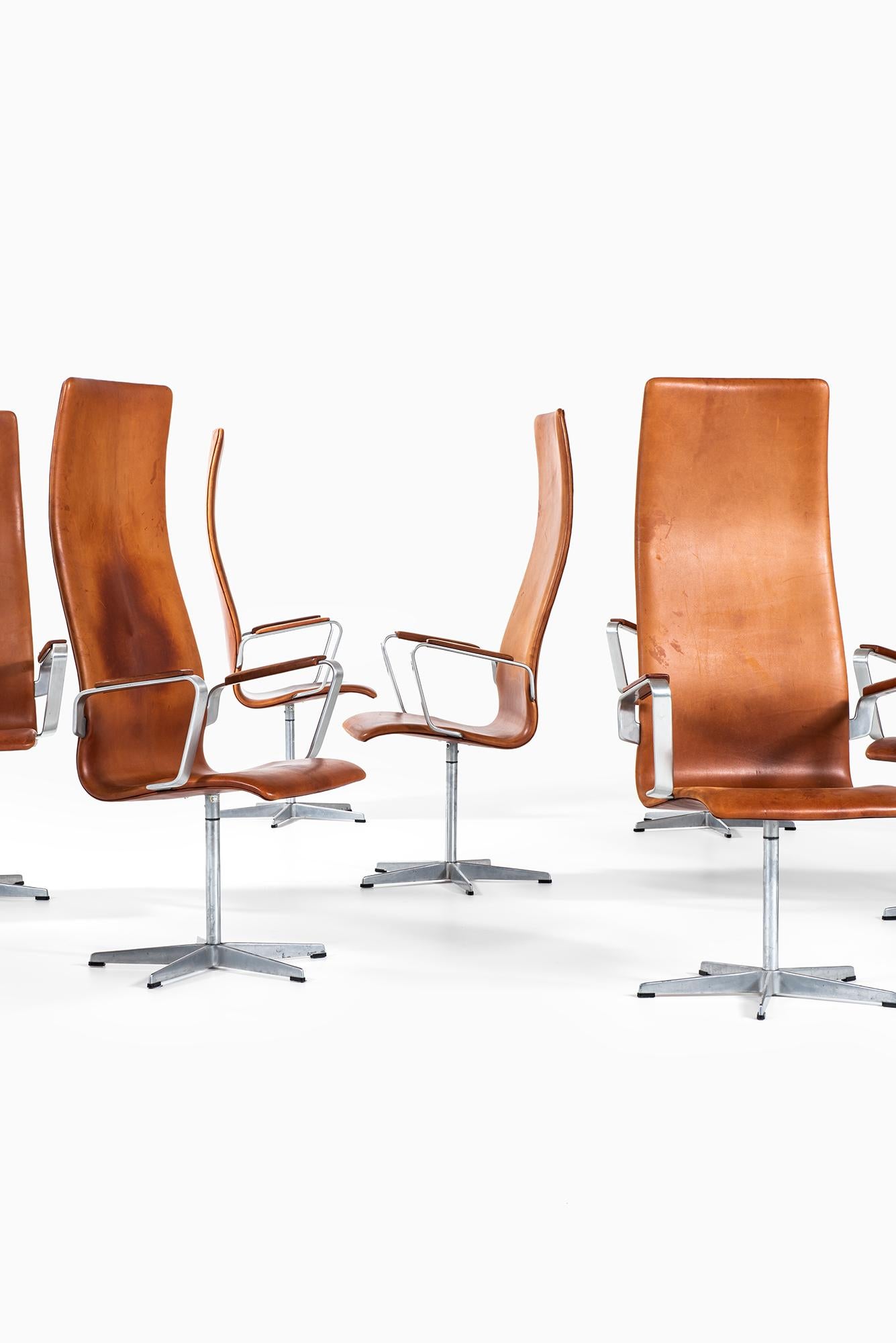 Rare set of Oxford high backed chairs model 3272 designed by Arne Jacobsen. Produced by Fritz Hansen in Denmark.
